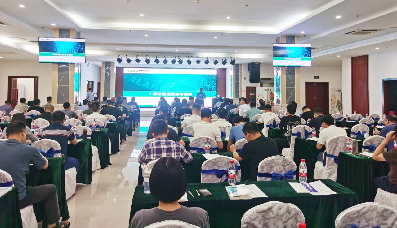 1702429658742180.jpg 6.jpg